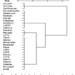 Figure 1: Result leaf color from cluster analysis of Iranian castor genotypes