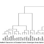 Figure 7: Result Studied Characters of Iranian Castor Genotypes from cluster analysis.