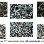 Figure 3: Typical optical pattern of lyotropic liquid crystals