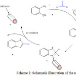 Scheme 2: Schematic illustration of the reaction