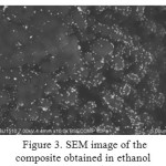 Figure 3: SEM image of the composite obtained in ethanol