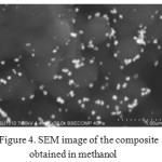 Figure 4: SEM image of the composite obtained in methanol