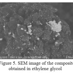Figure 5: SEM image of the composite obtained in ethylene glycol