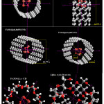 Figure 1: Optimized Fe3O4@various nanotubes and cyclodexterin