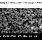 Figure. 9. Scanning Electron Microscope image of Silica nanoparticles