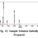 Figure 12: Sample Solution Initially Prepared                                                     