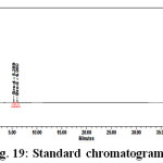 Figure 19: Standard chromatogram      