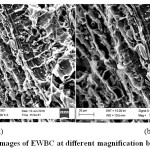 Figure 2: (a) SEM images of EWBC at different magnification before adsorption