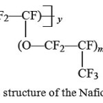 Figure 1: The structure of the Nafion membranes