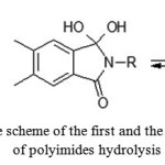 Figure 10: The scheme of the first and the second stages of polyimides hydrolysis 