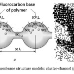 Figure 2: Nafion membrane structure models: cluster-channel (а) and cluster (b)