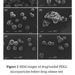 Figure 2: SEM images of drug-loaded PDLL microparticles before drug release test prepared from PDLL with feed DLL/LL ratios of (a) 100/0, (b) 90/10, (c) 80/20, (d) 70/30, (e) 60/40, and (d) 50/50 by mole (all scale bars = 100 mm).