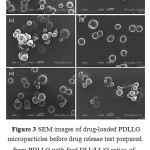 Figure 3: SEM images of drug-loaded PDLLG microparticles before drug release test prepared from PDLLG with feed DLL/LL/G ratios of (a) 75/0/25, (b)67.5/7.5/25, (c)60/15/25, (d)52.5/22.5/25, (e)45/30/25, and (f)37.5/37.5/25 by mole (all scale bars = 100 mm).