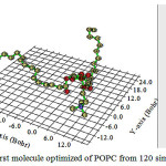 Figure 1: The first molecule optimized of POPC from 120 simulated molecules 
