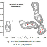 Figure 2: The contour line map of electron density for POPC phospholipids