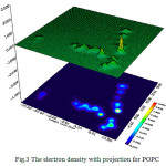Figure 3: The electron density with projection for POPC