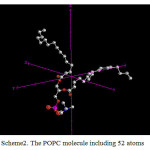 Scheme 2: The POPC molecule including 52 atoms