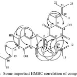 Figure 4:  Some important HMBC correlation of compound 1