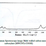 Figure 2: Raman Spectroscopy image Multi walled carbon nanotubes carboxylate (MWCNTs-COOH)