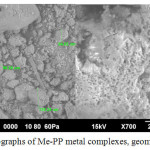 Figure 6: SEM photographs of Ме-PP metal complexes, geometric sizes and porosity