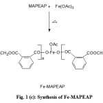 Figure 1(c): Synthesis of Fe-MAPEAP
