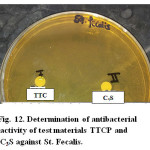Figure 12: Determination of antibacterial activity of test materials TTCP and C3S against St. Fecalis.