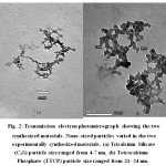 Figure 2: Transmission electron photomicrograph showing the two synthesized materials. Nano–sized particles varied in the two experimentally synthesized materials. (a) Tricalcium Silicate (C3S) particle size ranged from 4-7 nm, (b) Tetracalcium Phosphate (TTCP) particle size ranged from 21- 24 nm.