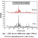 Figure 7: XRD spectra (diffraction angle=2Theta) of TTCP and hydrated for 1 and 28 days.