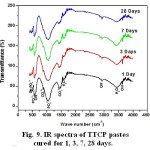 Figure 9: IR spectra of TTCP pastes cured for 1, 3, 7, 28 days.