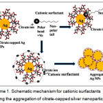 Scheme 1: Schematic mechanism for cationic surfactants inducing the aggregation of citrate-capped silver nanoparticles.