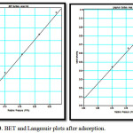 Figure 3: BET and Langmuir plots after adsorption.