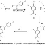 Figure 2: Reaction mechanism of synthesis 4-phenacyloxy benzaldehyde derivatives