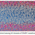 Figure 5: Cholesterol among 60 domain of DMPC membrane in leaver