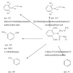 Scheme 1: Identified metabolites of alachlor  