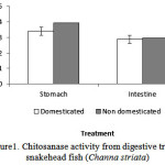 Figure 1: Chitosanase activity from digestive tract of snakehead fish (Channastriata)