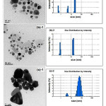 Figure 1: (TEM images and DLS size distribution histograms of silver nanoparticles synthesized with different concentration of silver nitrate: (a)-1 and (a)-2 at 0.05M, (b)-1 and (b)-2 at 0.08M, (c)-1 and (c)-2 at 0.10M.)