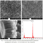 Figure 3: The SEM images and EDX of titanium oxide nanotubes formed on titanium by anodization in 1M Na2SO4 + 0.5 wt.%NaF at 20 V for 30 min [53]