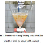 Figure 1: Formation of soap during transesterification of rubber seed oil using CaO catalyst.