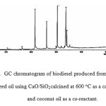 Figure 2: GC chromatogram of biodiesel produced from rubber seed oil using CaO/SiO2calcined at 600 oC as a catalyst and coconut oil as a co-reactant.