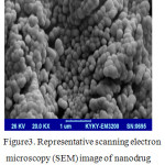 Figure 3: Representative scanning electron microscopy (SEM) image of nanodrug(sample hemogenised at 7000 rpm, 5 min).