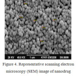 Figure 4: Representative scanning electron microscopy (SEM) image of nanodrug(sample hemogenised at 7000 rpm, 30 min).