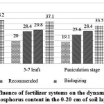 Figure 2: Influence of fertilizer systems on the dynamics of mobile phosphorus content in the 0-20 cm of soil layer