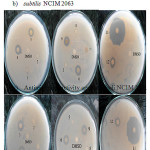 Figure 7: Photograph of Biological activity of Ll, L2 and their metal complexes a) Antimicrobial activity against Bacillus subtilis NCIM 2063