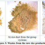 Figure 3: Wastes from the raw rice production.