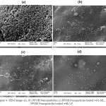 Figure 4: SEM image (a), (b) PFOB Nanoparticles; (c) PFOB Nanoparticles loaded with ML; (d) PFOB Nanoparticles loaded with LF.