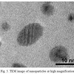 Figure 5: TEM image of nanoparticles at high magnification