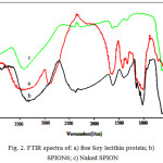 Figure 2: FTIR spectra of: a) free Soy lecithin protein; b) SPION6; c) Naked SPION