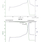 Figure 4: TGA/DSC curves of PI/0,5%SiC and PI/4%SiC composites (obtained under homogenization of nanofiller in diamine solution) in air 
