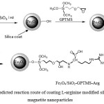 Figure 1: Predicted reaction route of coating L-arginine modified silica on magnetite nanoparticles