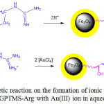 Figure 6: Hypothetic reaction on the formation of ionic bonds between Fe3O4/SiO2-GPTMS-Argwith Au(III)ion in aqueous solution. 